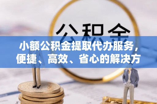 洛扎小额公积金提取代办服务，便捷、高效、省心的解决方案