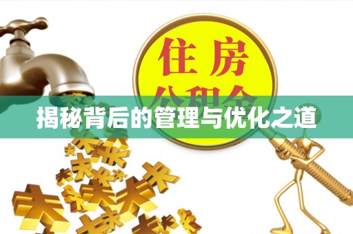 洛扎揭秘背后的管理与优化之道
