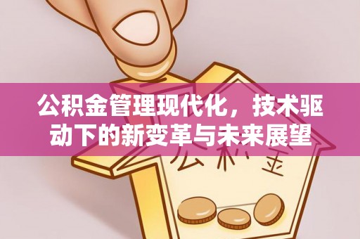 洛扎公积金管理现代化，技术驱动下的新变革与未来展望