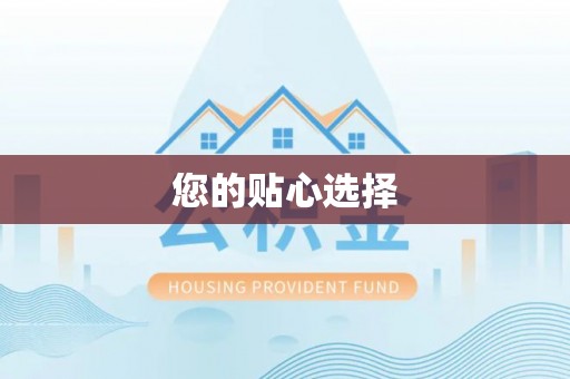 洛扎您的贴心选择
