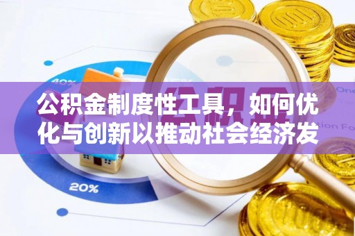 洛扎公积金制度性工具，如何优化与创新以推动社会经济发展
