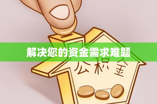 洛扎解决您的资金需求难题