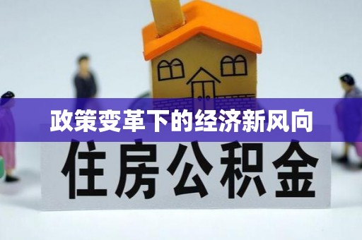 洛扎政策变革下的经济新风向