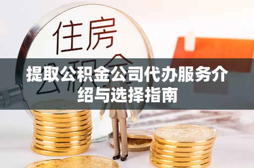 洛扎提取公积金公司代办服务介绍与选择指南