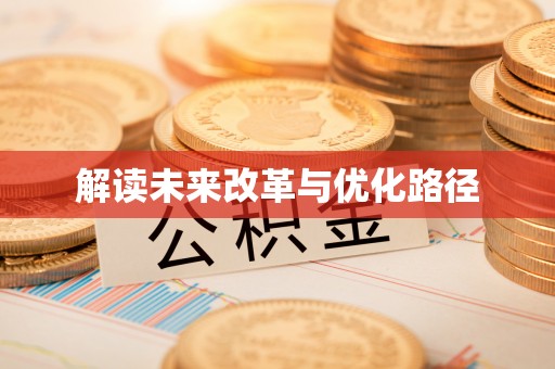 洛扎解读未来改革与优化路径