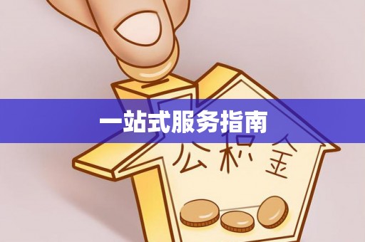 洛扎一站式服务指南