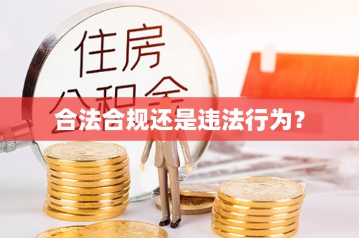 洛扎合法合规还是违法行为？