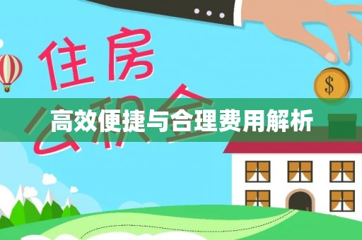 洛扎高效便捷与合理费用解析