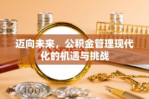 洛扎迈向未来，公积金管理现代化的机遇与挑战