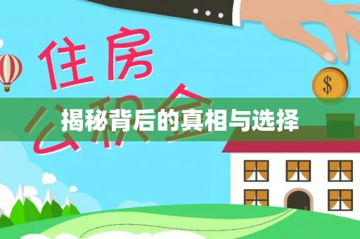 洛扎揭秘背后的真相与选择