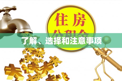 洛扎了解、选择和注意事项
