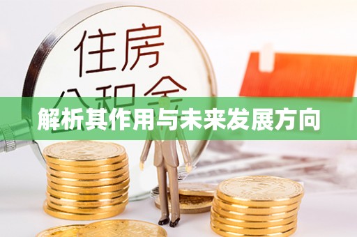 洛扎解析其作用与未来发展方向