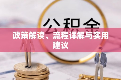 洛扎政策解读、流程详解与实用建议