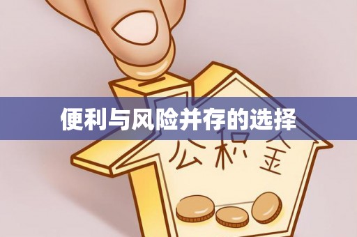 洛扎便利与风险并存的选择