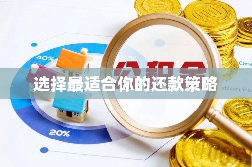 洛扎选择最适合你的还款策略