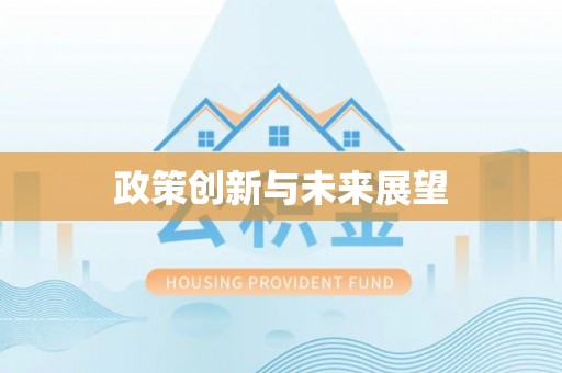 洛扎政策创新与未来展望