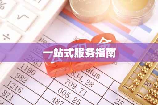 洛扎一站式服务指南