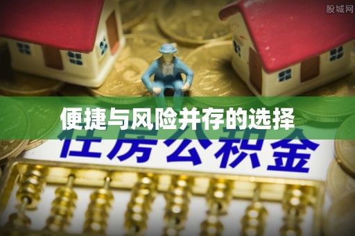 洛扎便捷与风险并存的选择