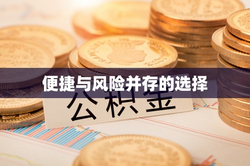 洛扎便捷与风险并存的选择