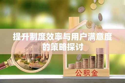 洛扎提升制度效率与用户满意度的策略探讨