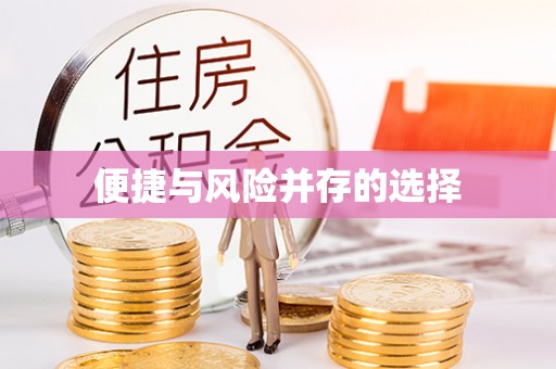 洛扎便捷与风险并存的选择