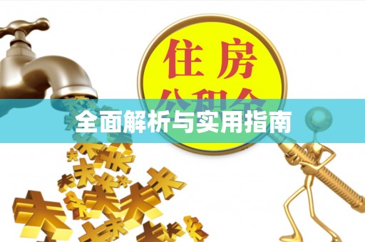洛扎全面解析与实用指南