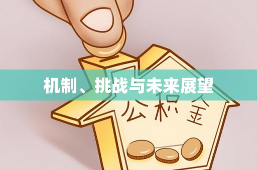 洛扎机制、挑战与未来展望